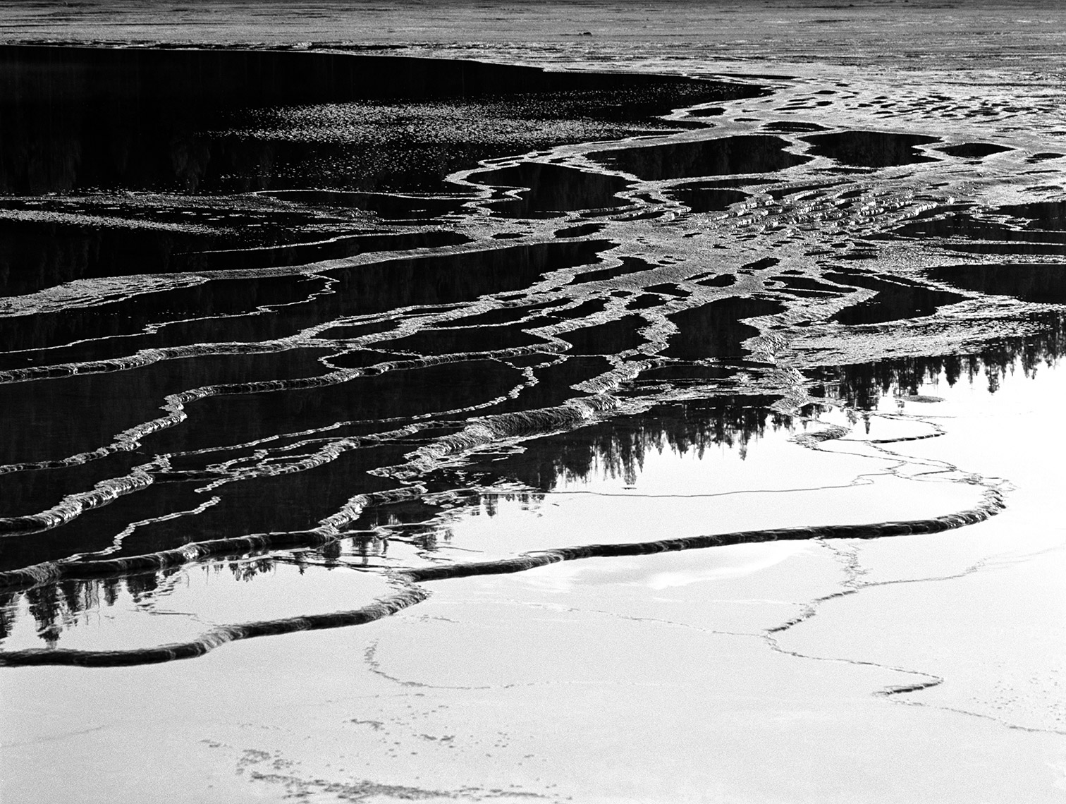 03 Yellowstone Gyser